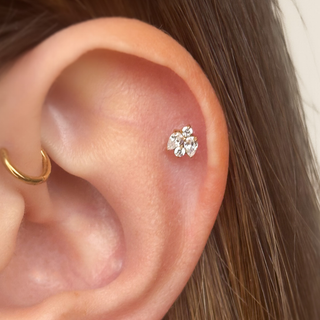 Piercing Avalone Titane