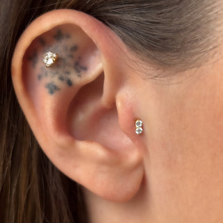 labret piercing cartilage tragus aria