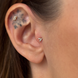 parfaite bijou piercing tragus 