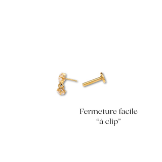 Piercing Bélie Labret Titane