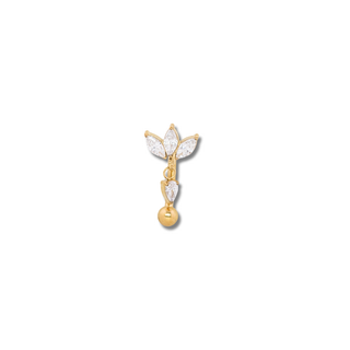 piercing rook pendentif titane 